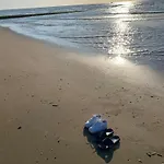 Melcview ويستيند باد